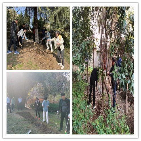 1647225015930565.jpg initpintu_副本.jpg